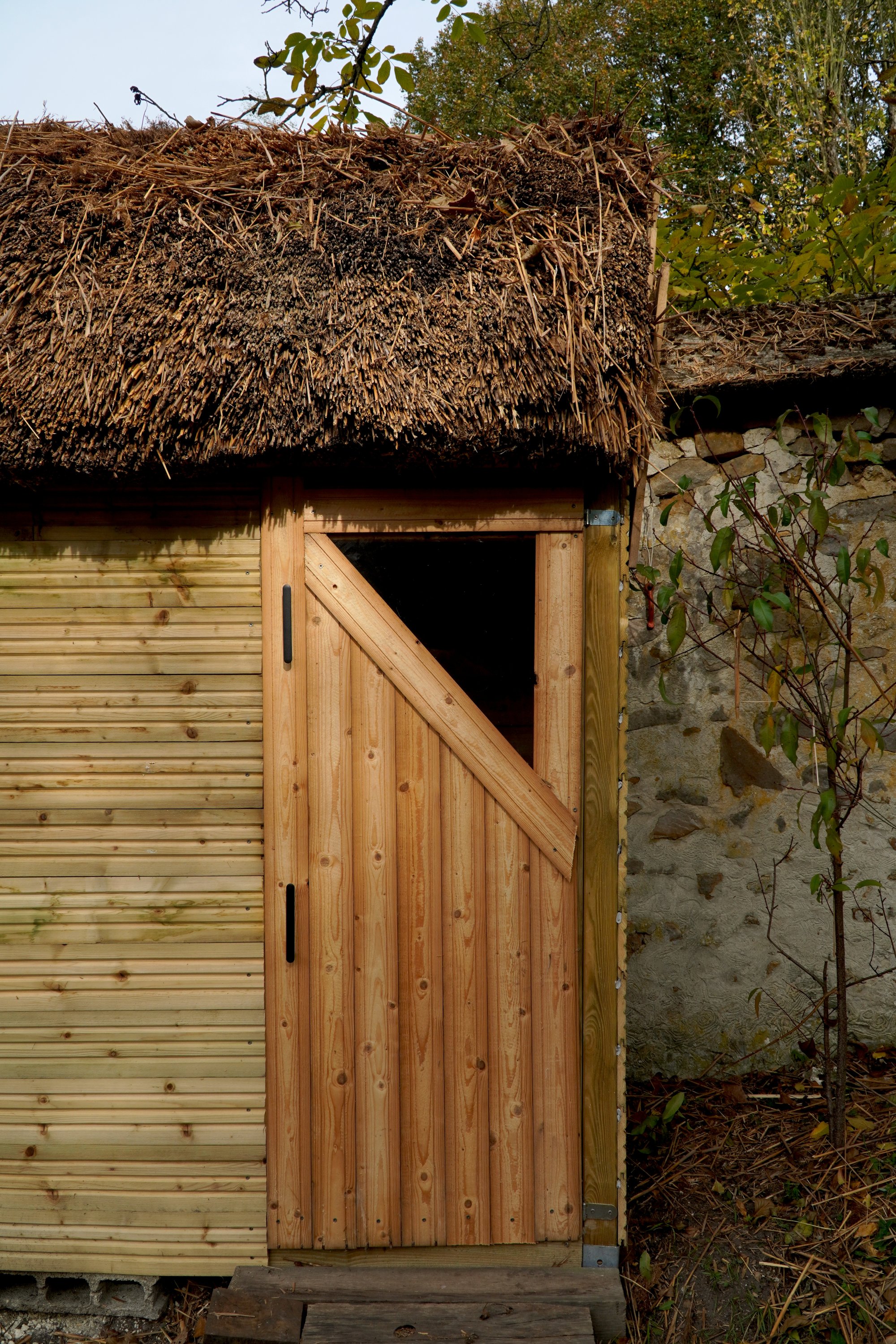 CABANE7